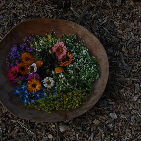 Aguamadera Santa Eularia des Riu