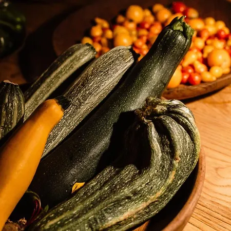 Aguamadera Farm stay