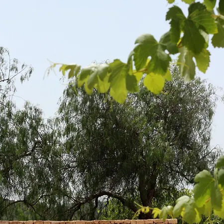 Farm stay Aguamadera *