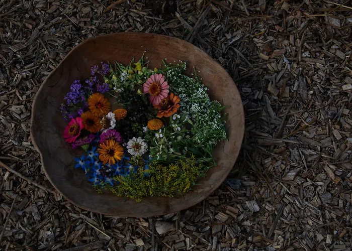 Aguamadera Santa Eularia des Riu