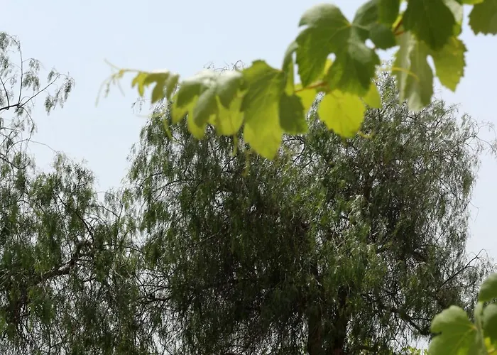 Farm stay Aguamadera *