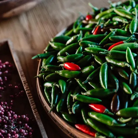 مزرعة للإقامة Aguamadera سانتا أيُلاريا ذيس ريو