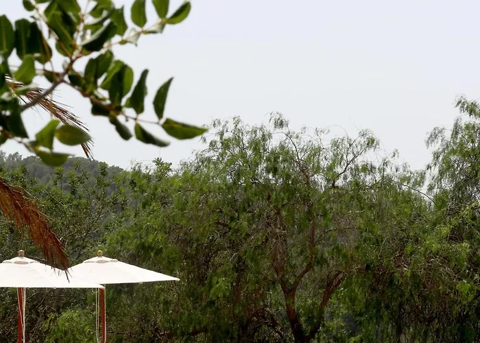 Aguamadera * Santa Eularia des Riu